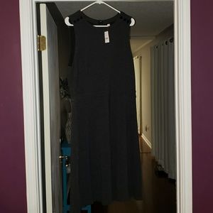 Loft NwT Dress